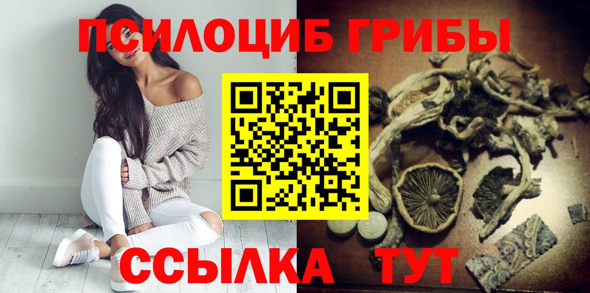 Избербаш  Псилоцибиновые грибы Magic Shrooms  Вход с VPN 