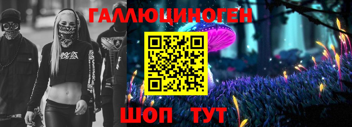 Псилоцибиновые грибы GOLDEN TEACHER Избербаш